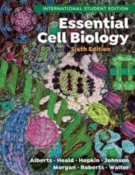 Køb Essential Cell Biology af Bruce Alberts - 9781324033394